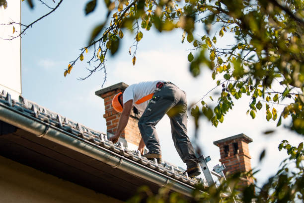 Best Tile Roofing Contractor  in Wedgefield, FL