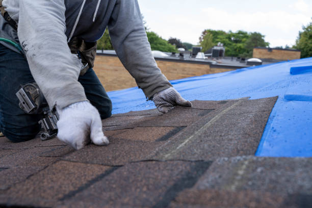 Best Roof Gutter Cleaning  in Wedgefield, FL