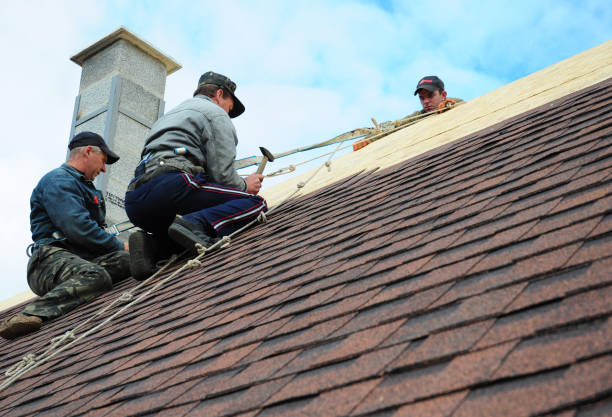 Tile Roofing Contractor in Wedgefield, FL